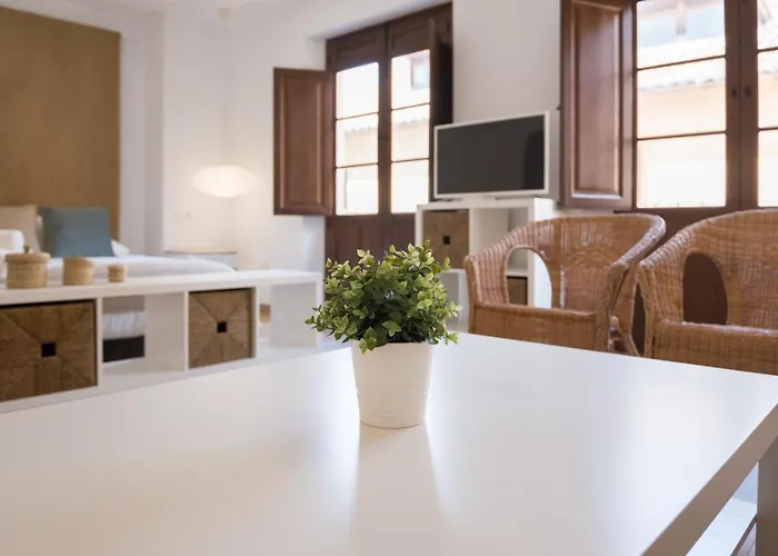 Santiago Premium Loft Ii Апартаменты Малага