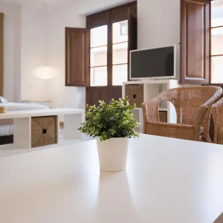 Santiago Premium Loft Ii Appartement Málaga