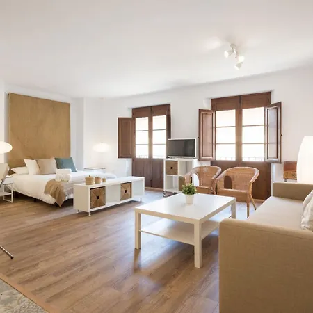 Santiago Premium Loft Ii Appartement