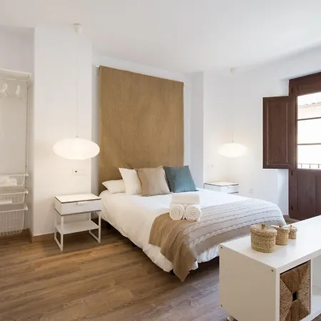 Santiago Premium Loft Ii Appartement Málaga